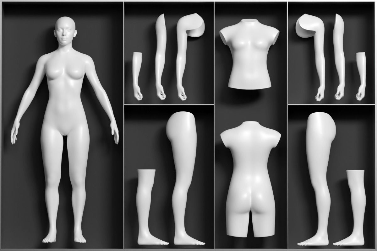Tattoo Artist Body Parts Pack - Ultimate 3D Model Collection_3
