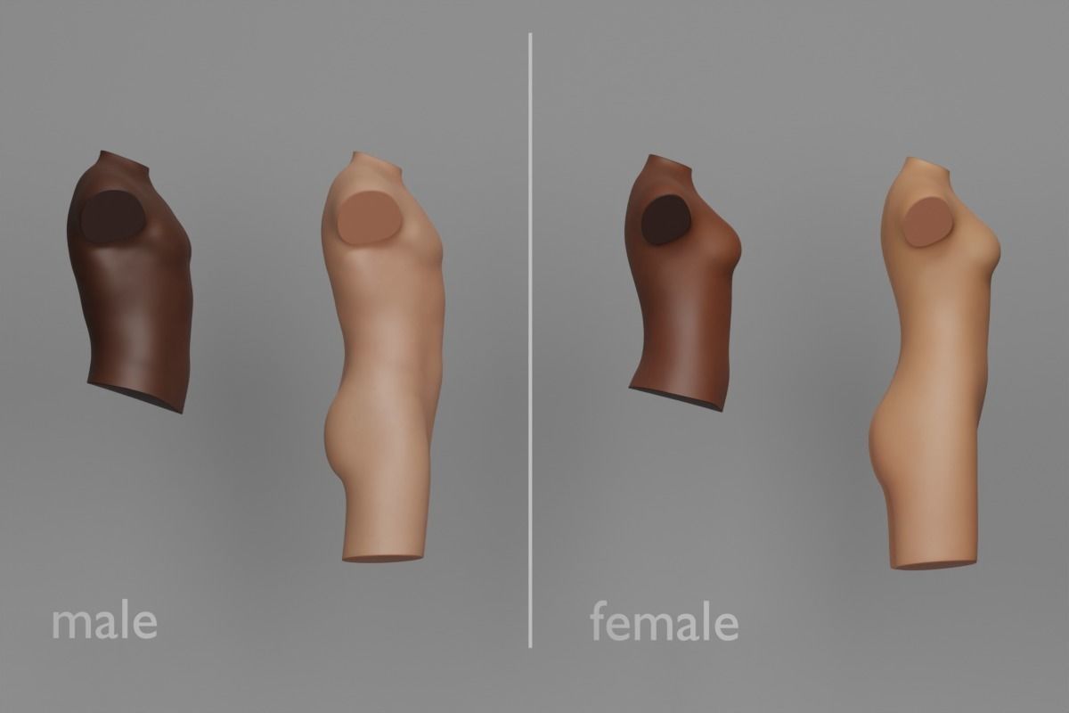 Tattoo Artist Body Parts Pack - Ultimate 3D Model Collection_16