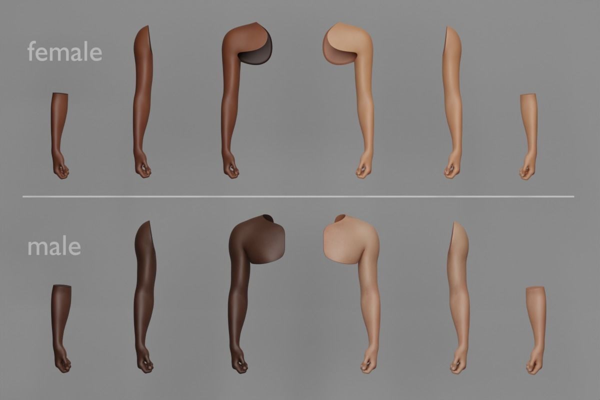 Tattoo Artist Body Parts Pack - Ultimate 3D Model Collection_8