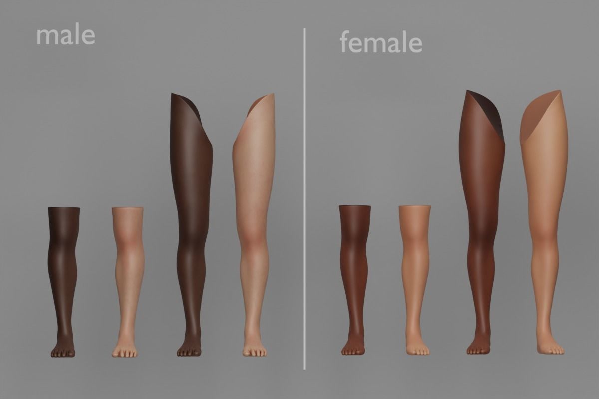 Tattoo Artist Body Parts Pack - Ultimate 3D Model Collection_24