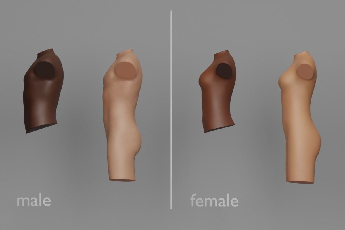 Tattoo Artist Body Parts Pack - Ultimate 3D Model Collection_13