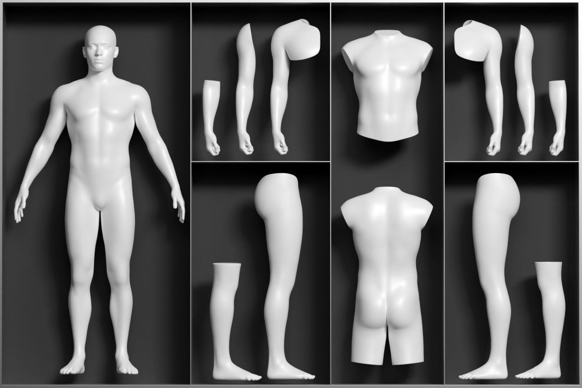 Tattoo Artist Body Parts Pack - Ultimate 3D Model Collection_2