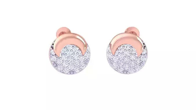 Women Stud Earrings 3dm STL OBJ FBX Renders Details 3D print model