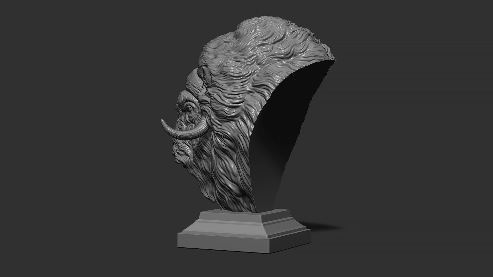 Musk ox head bust 3D print model_17