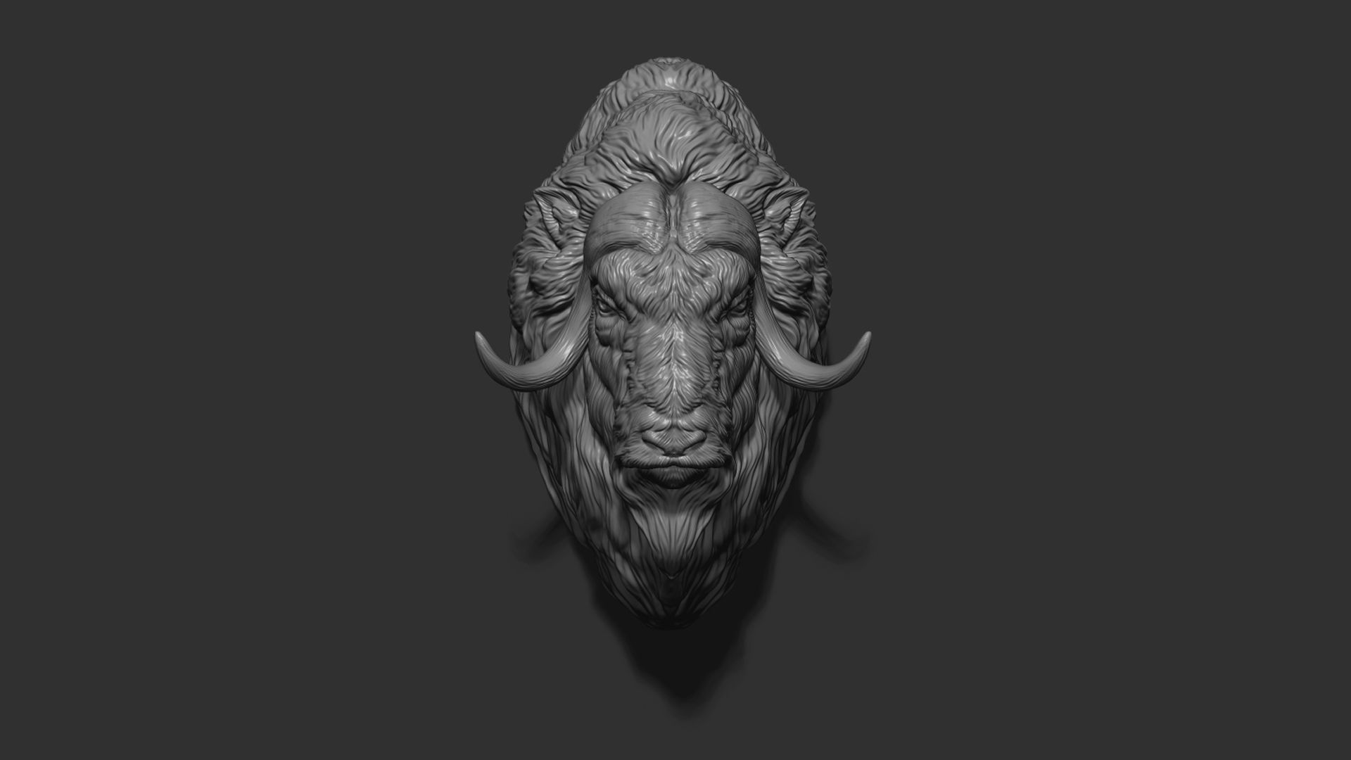 Musk ox head bust 3D print model_2