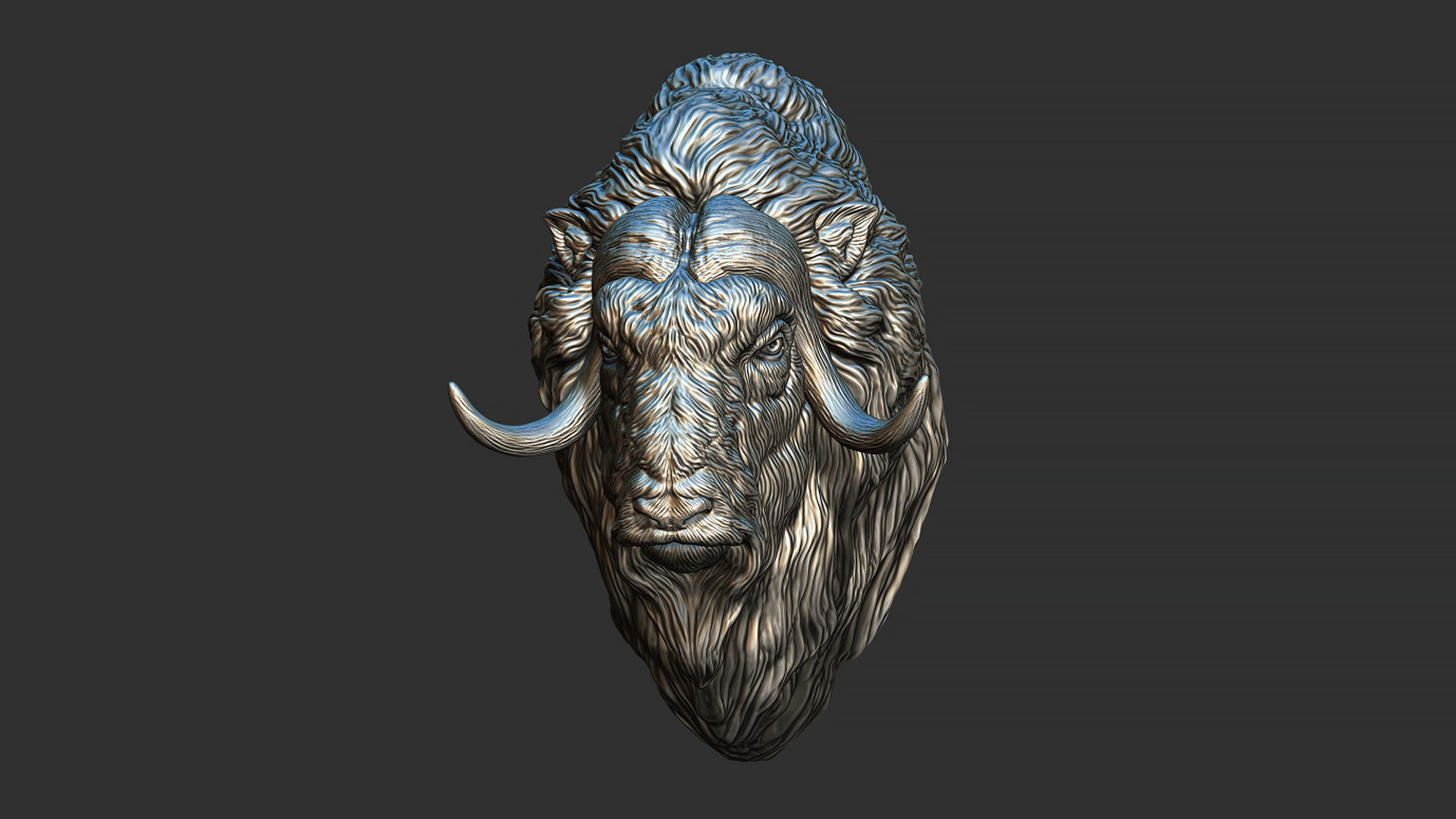 Musk ox head bust 3D print model_14