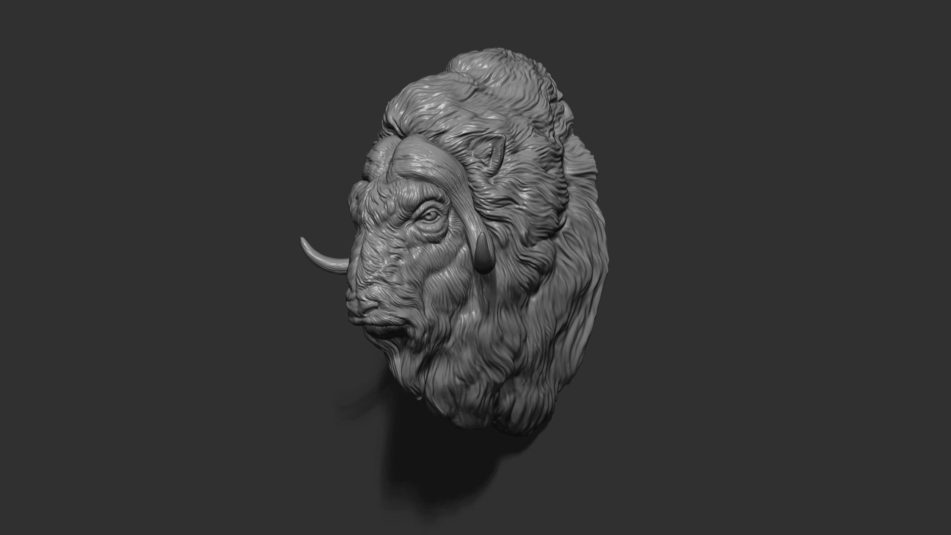 Musk ox head bust 3D print model_4