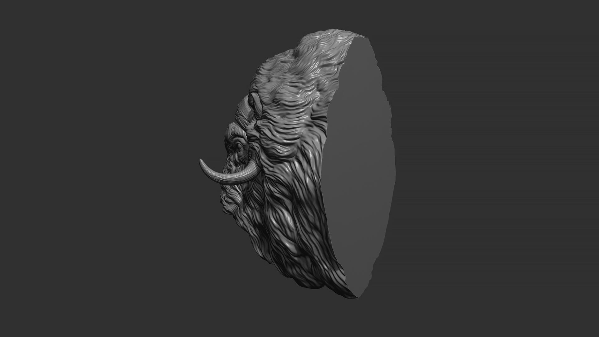 Musk ox head bust 3D print model_5
