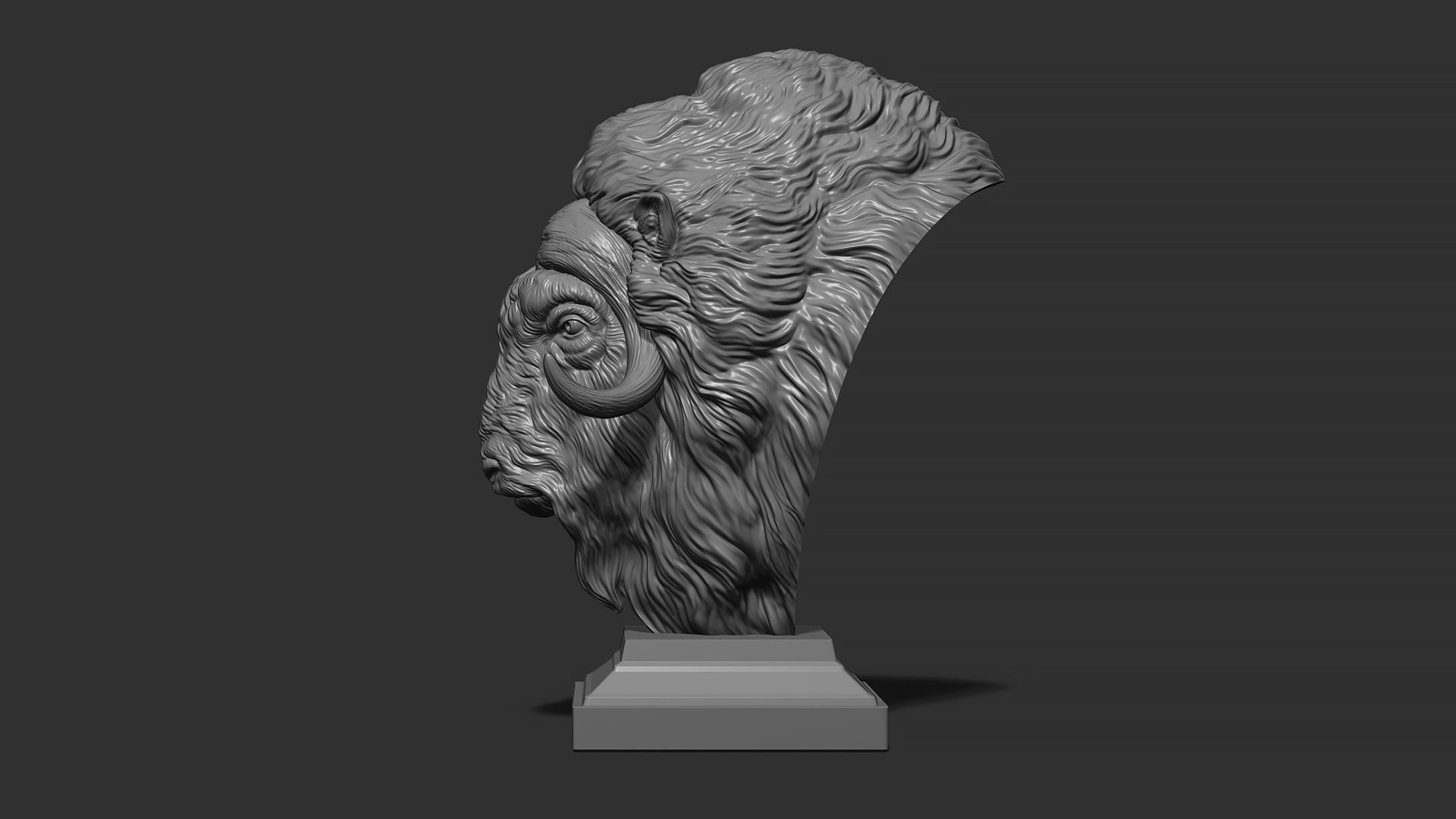Musk ox head bust 3D print model_15