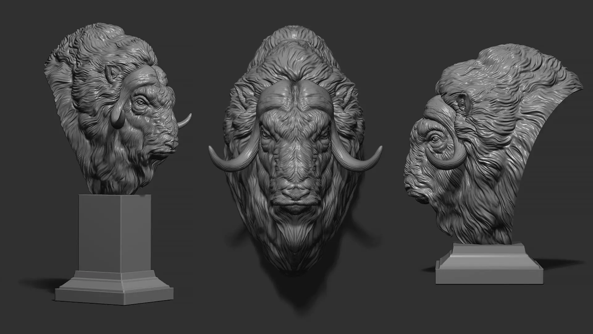 Musk ox head bust 3D print model_0