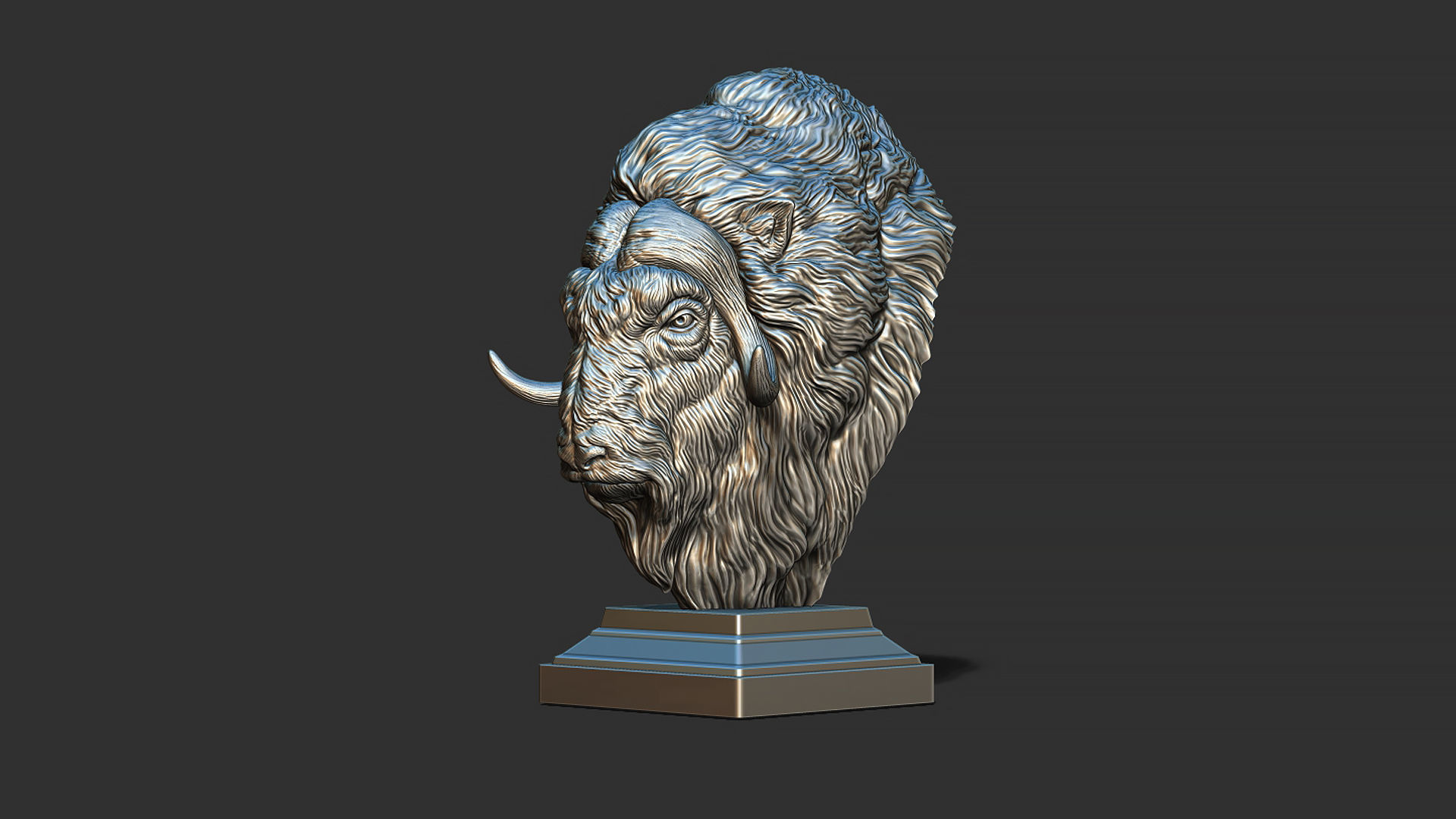 Musk ox head bust 3D print model_11