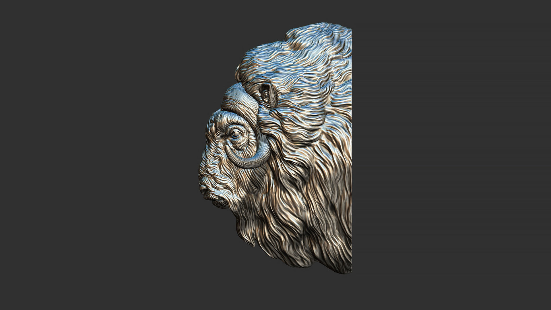 Musk ox head bust 3D print model_13