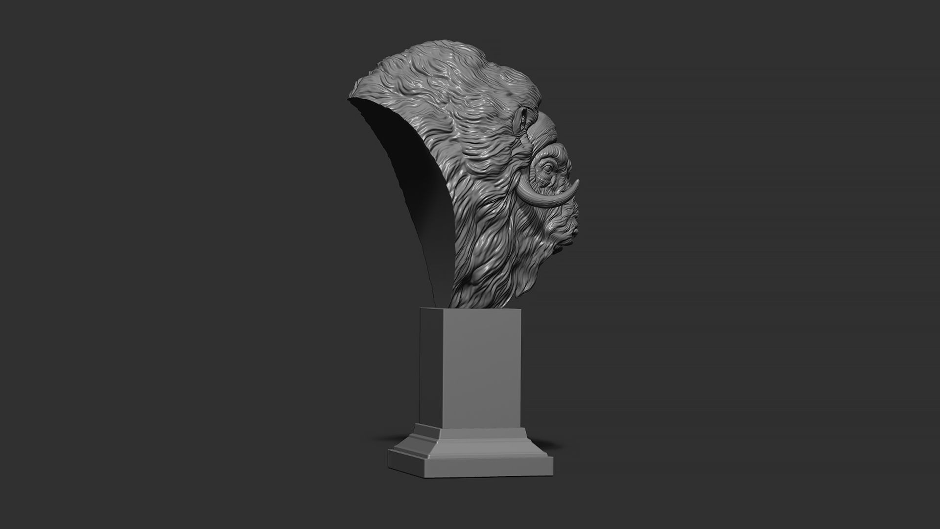 Musk ox head bust 3D print model_8