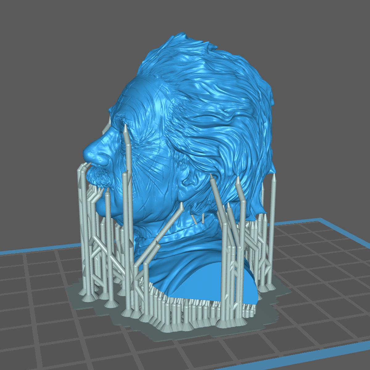 Einstein Bust 3D print with base-supported 3D print model_7