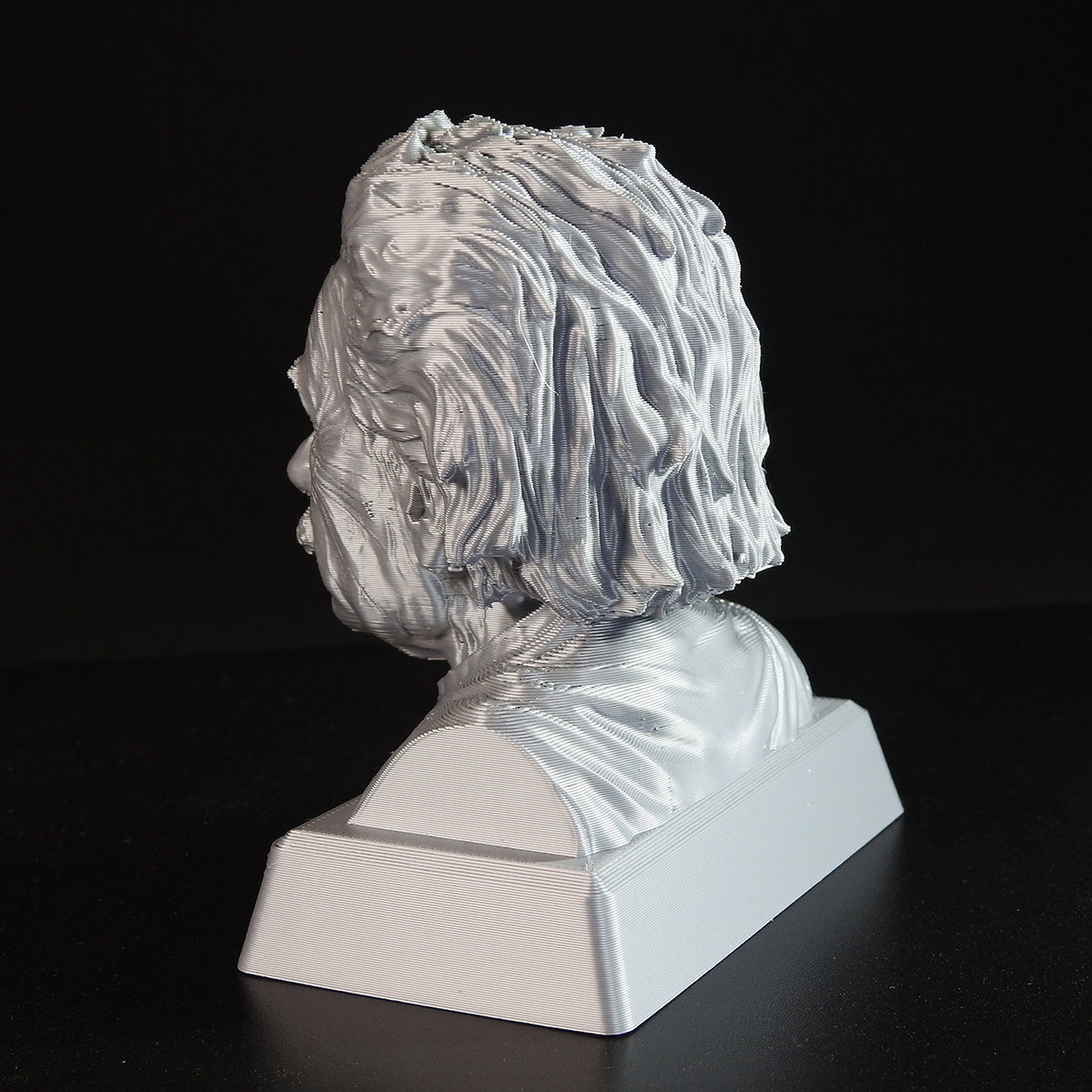 Einstein Bust 3D print with base-supported 3D print model_4