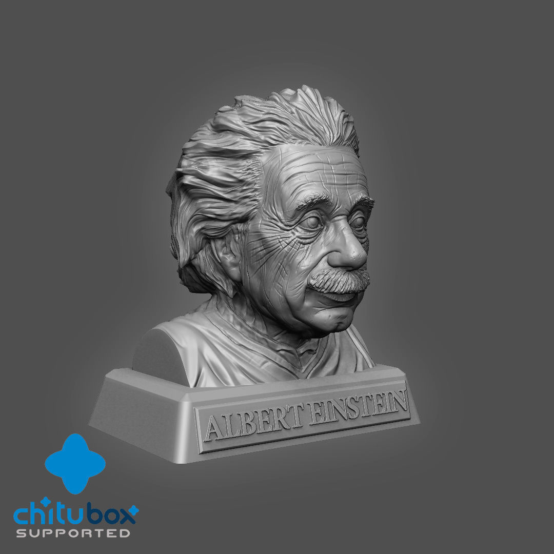 Einstein Bust 3D print with base-supported 3D print model_1