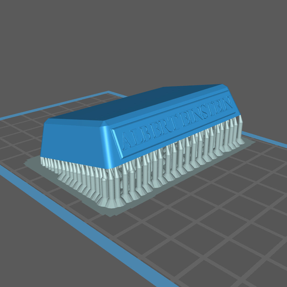 Einstein Bust 3D print with base-supported 3D print model_8