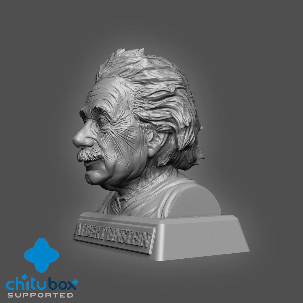 Einstein Bust 3D print with base-supported 3D print model_6