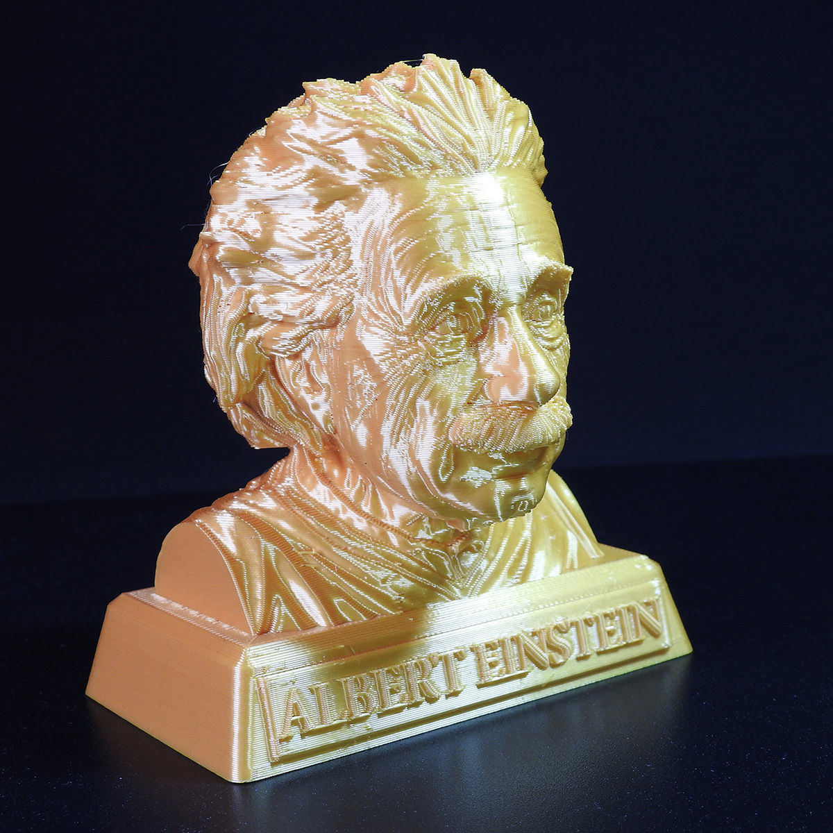 Einstein Bust 3D print with base-supported 3D print model_2