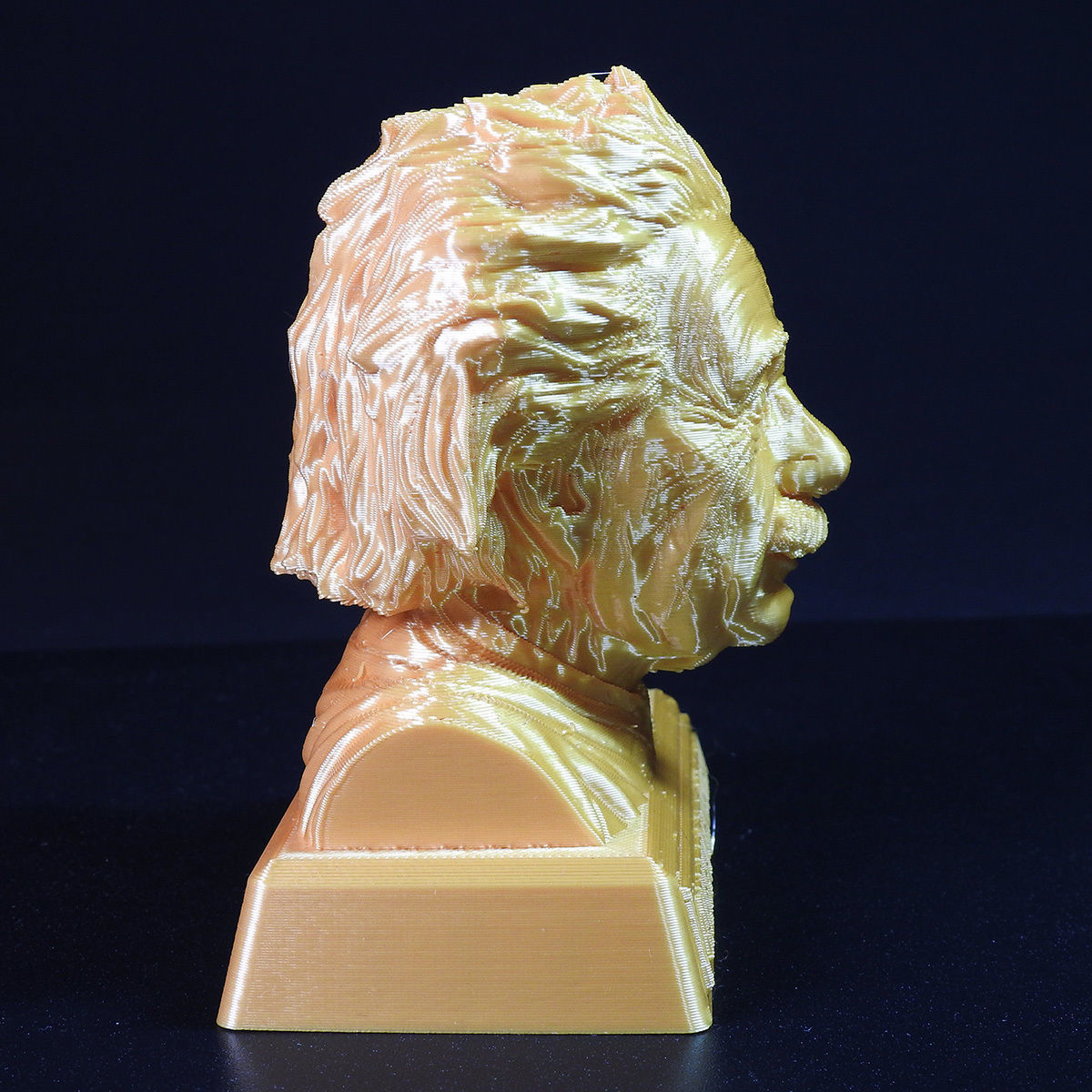 Einstein Bust 3D print with base-supported 3D print model_3