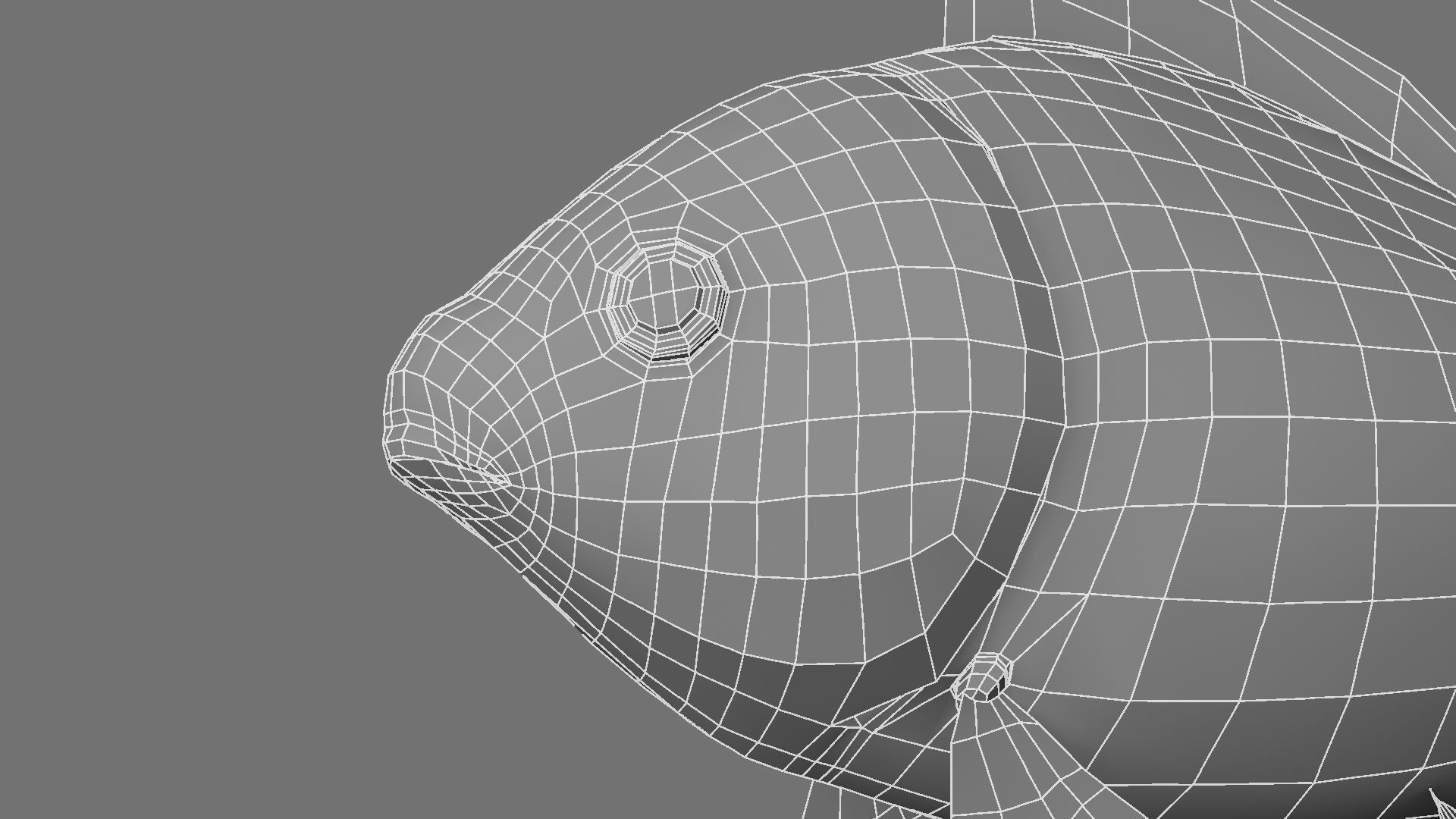 Gold fish 3D model_33