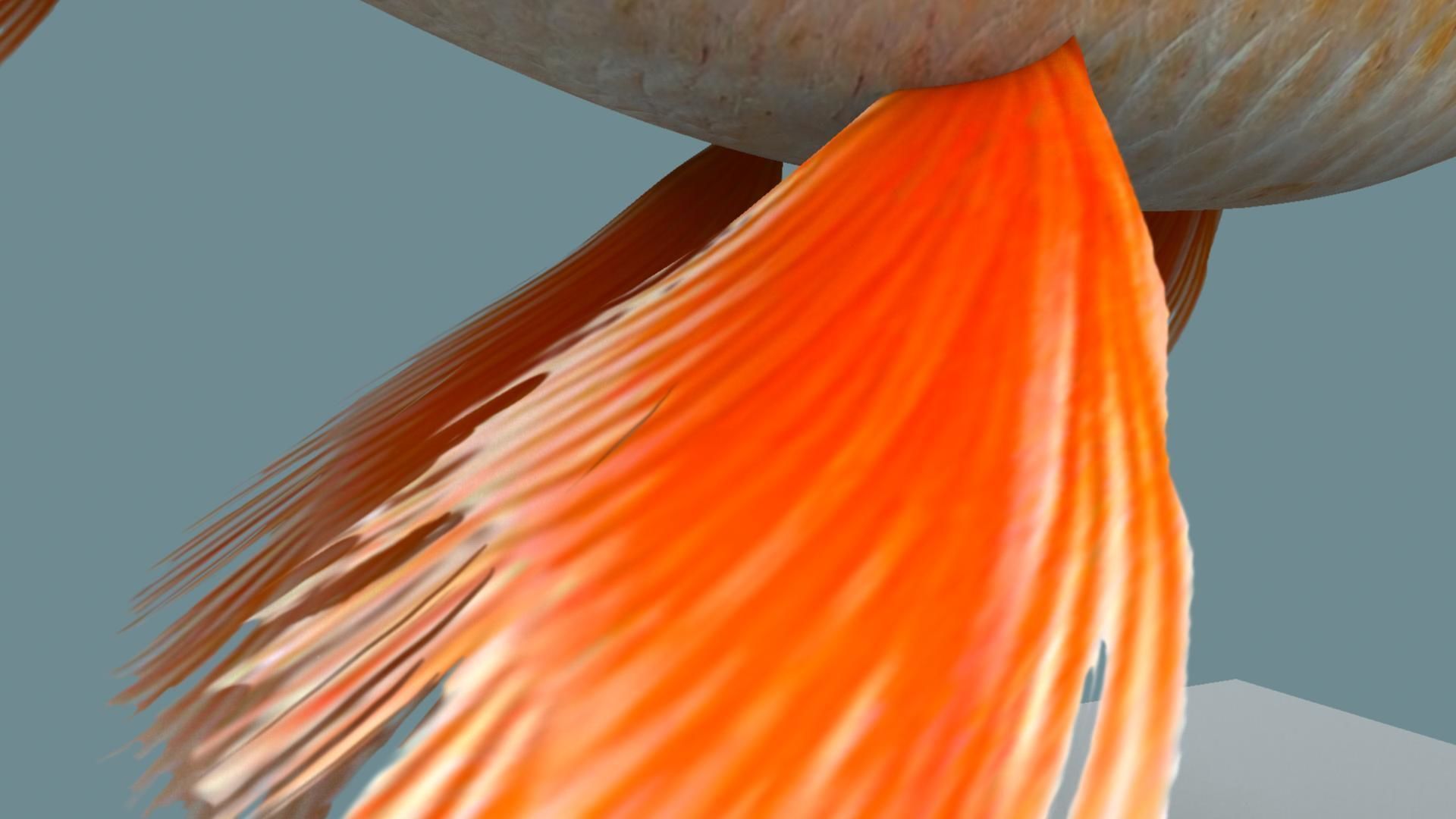 Gold fish 3D model_4