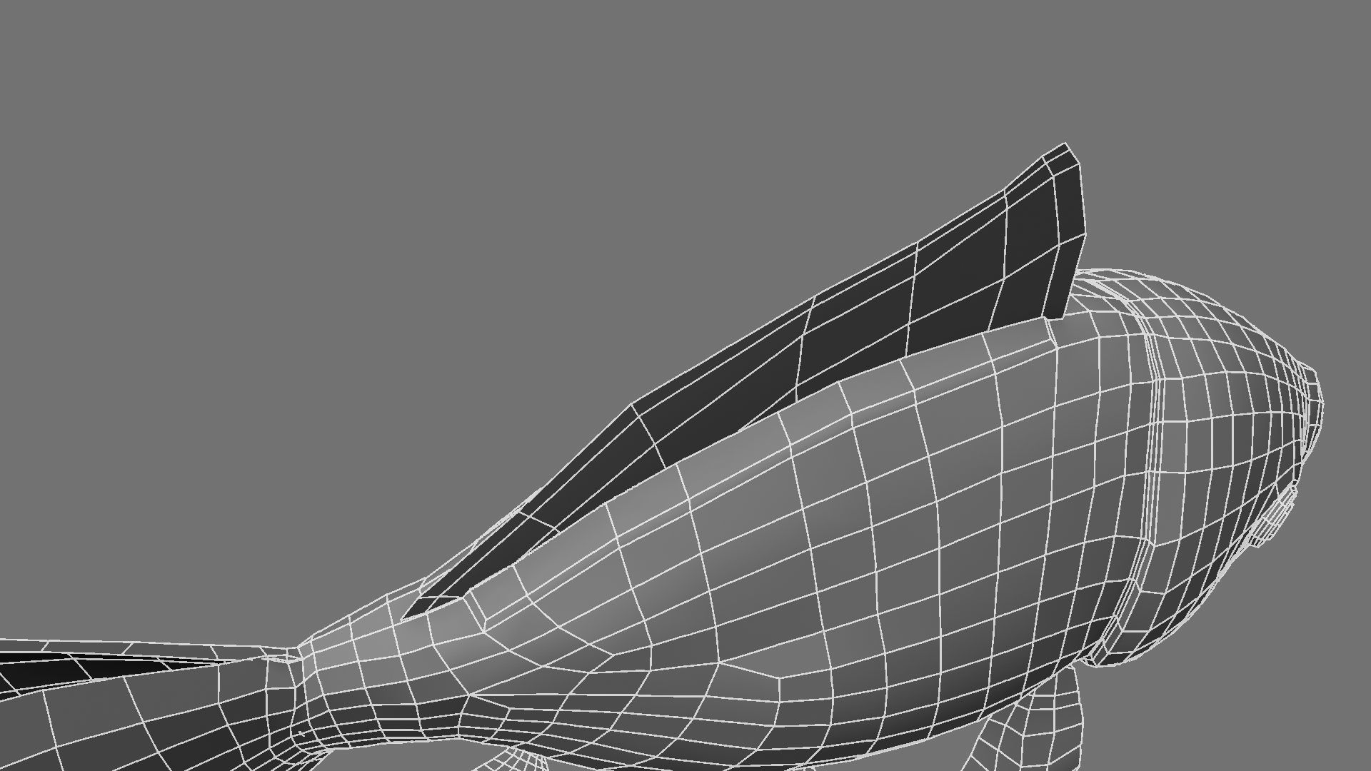 Gold fish 3D model_48