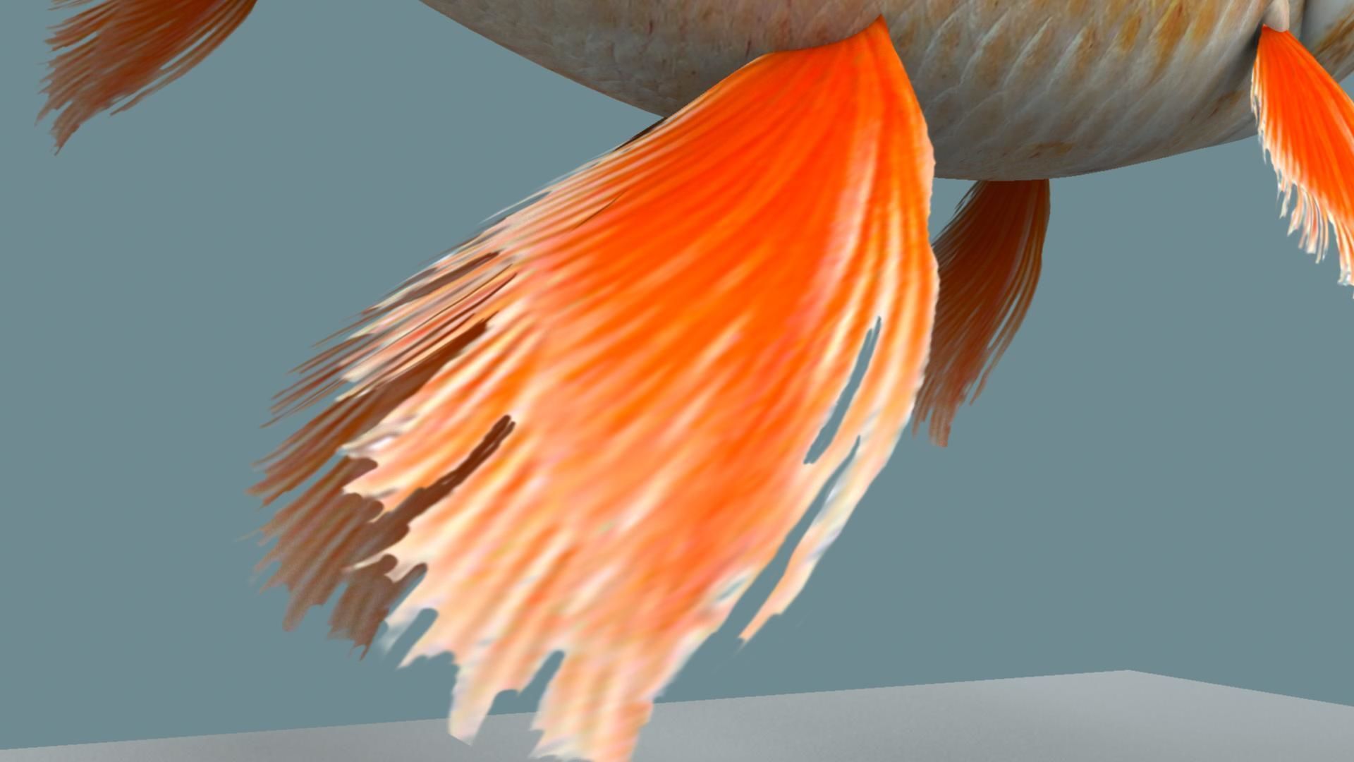 Gold fish 3D model_24