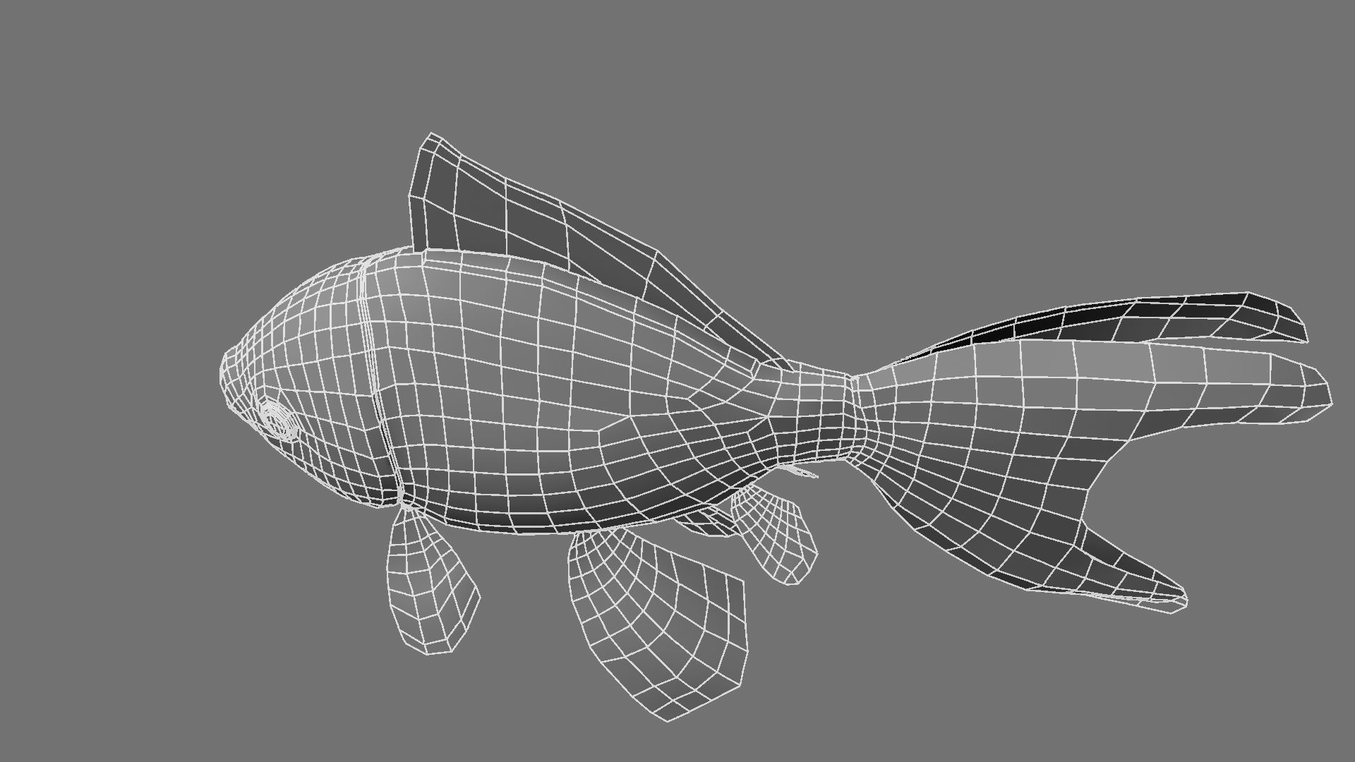 Gold fish 3D model_27