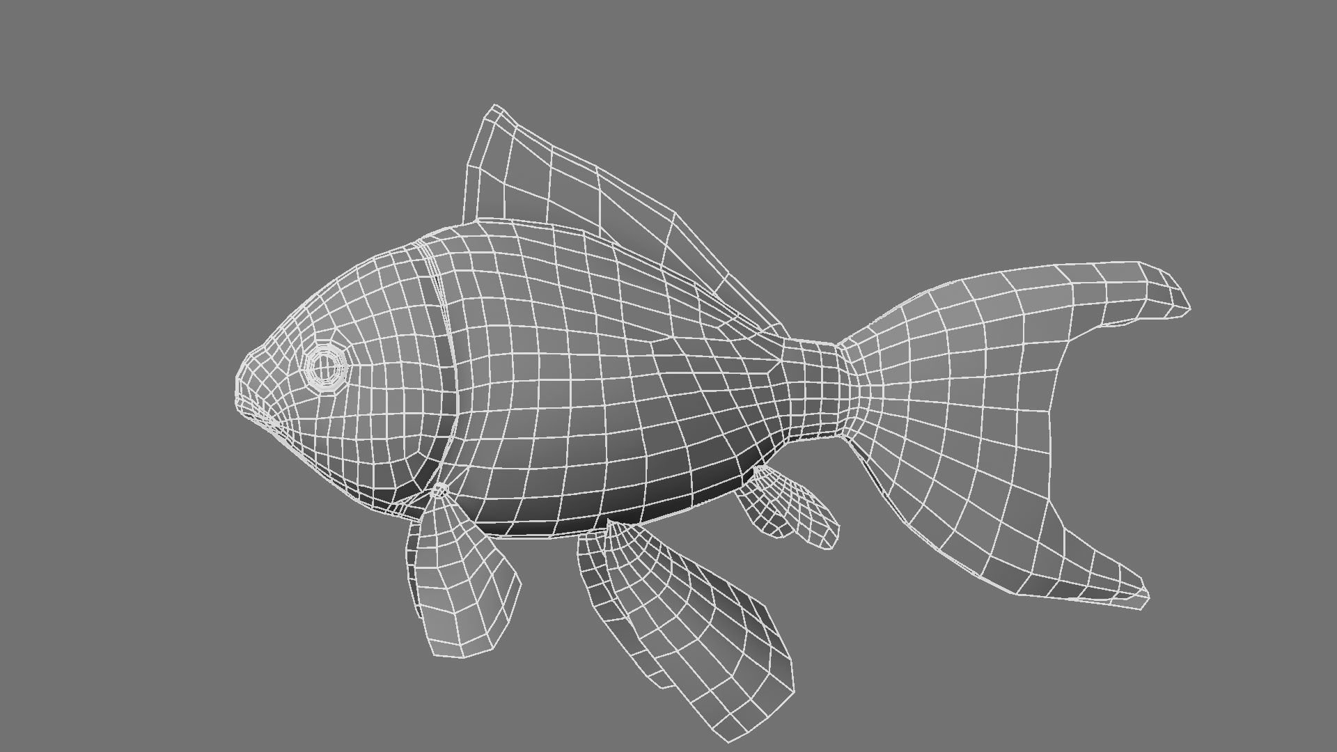 Gold fish 3D model_25