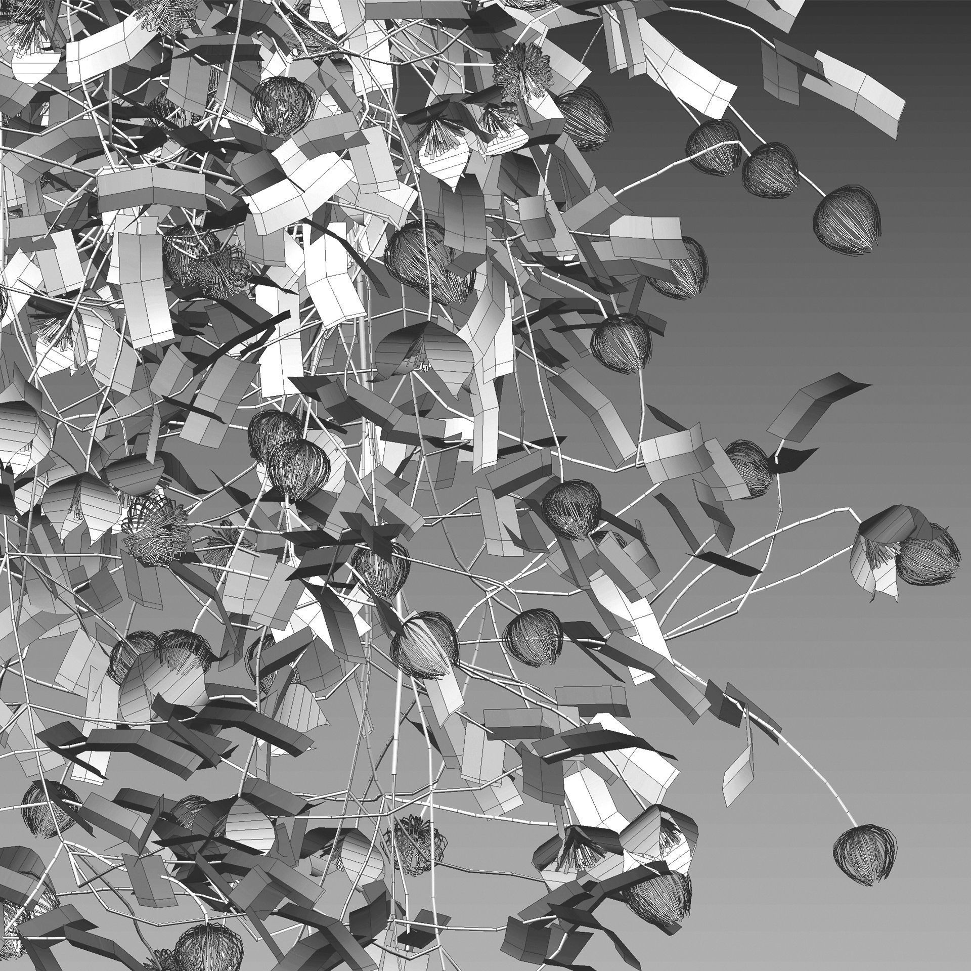 Clematis Bill MacKenzie - Clematis tangutica 01 3D model_9
