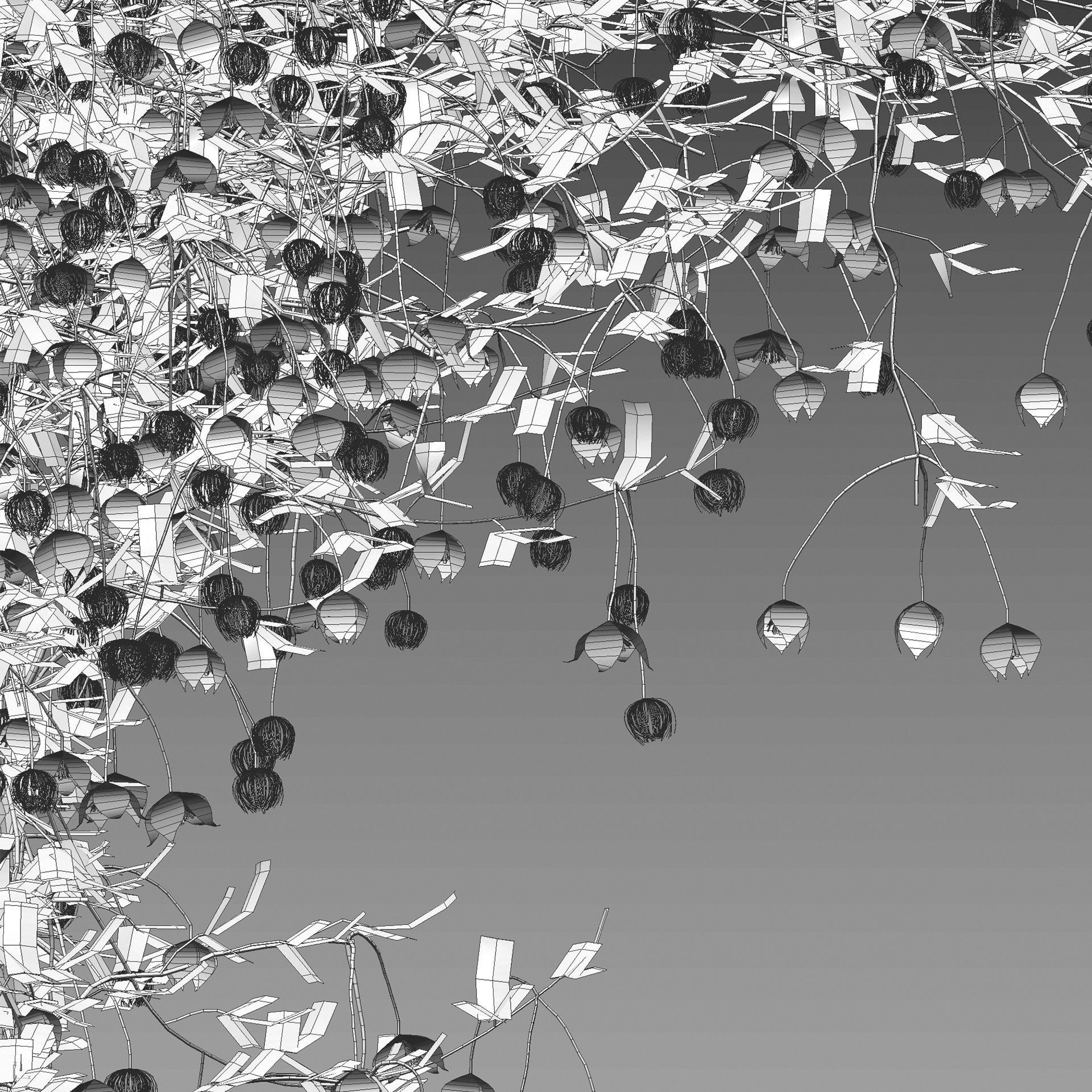 Clematis Bill MacKenzie - Clematis tangutica 02 3D model_2