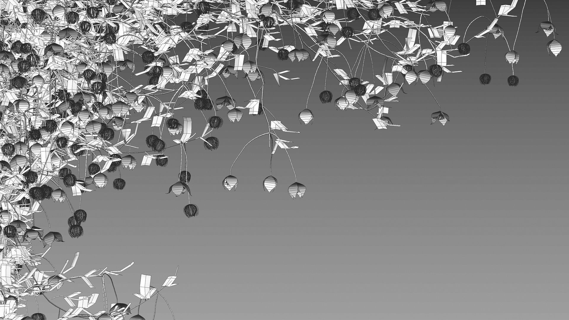 Clematis Bill MacKenzie - Clematis tangutica 02 3D model_8