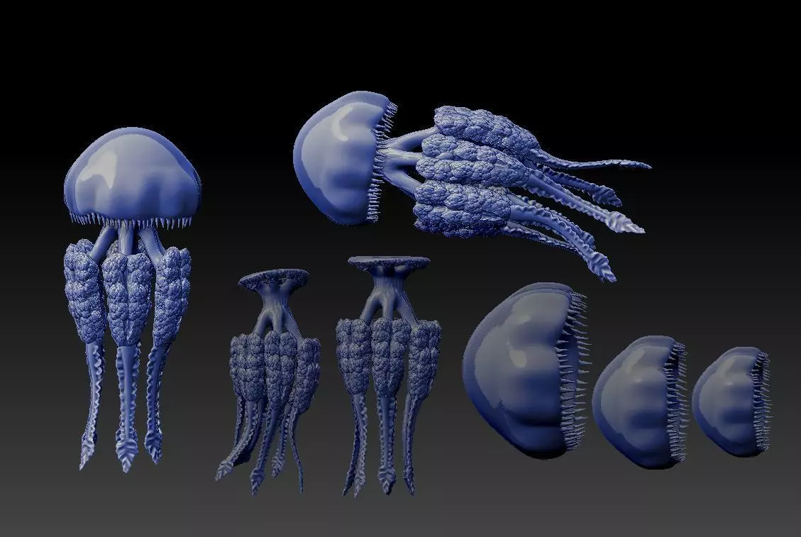 Jellyfish Rhizostoma 3D print model_0