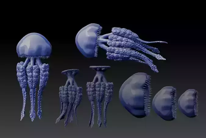 Jellyfish Rhizostoma 3D print model