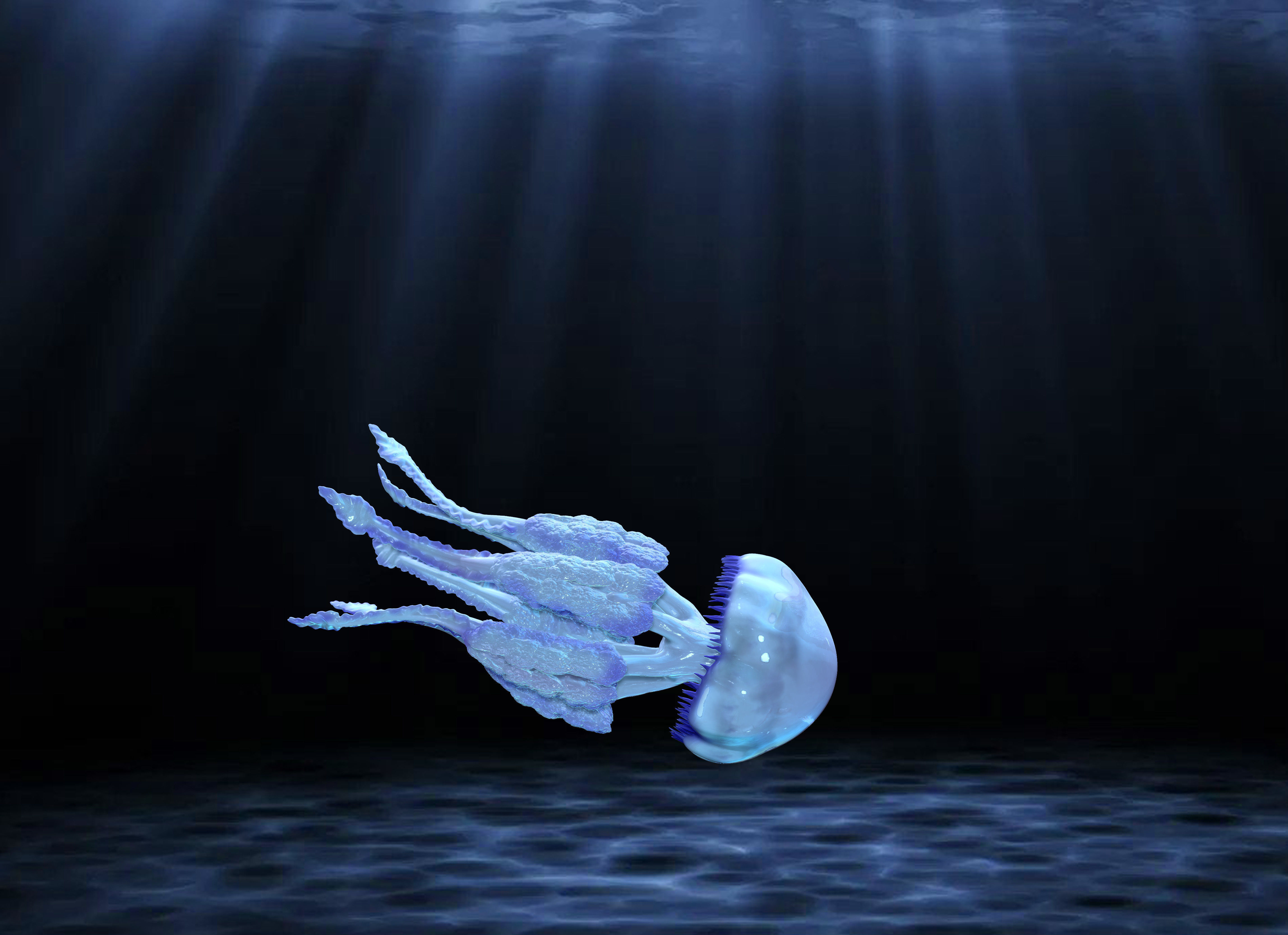 Jellyfish Rhizostoma 3D print model_4