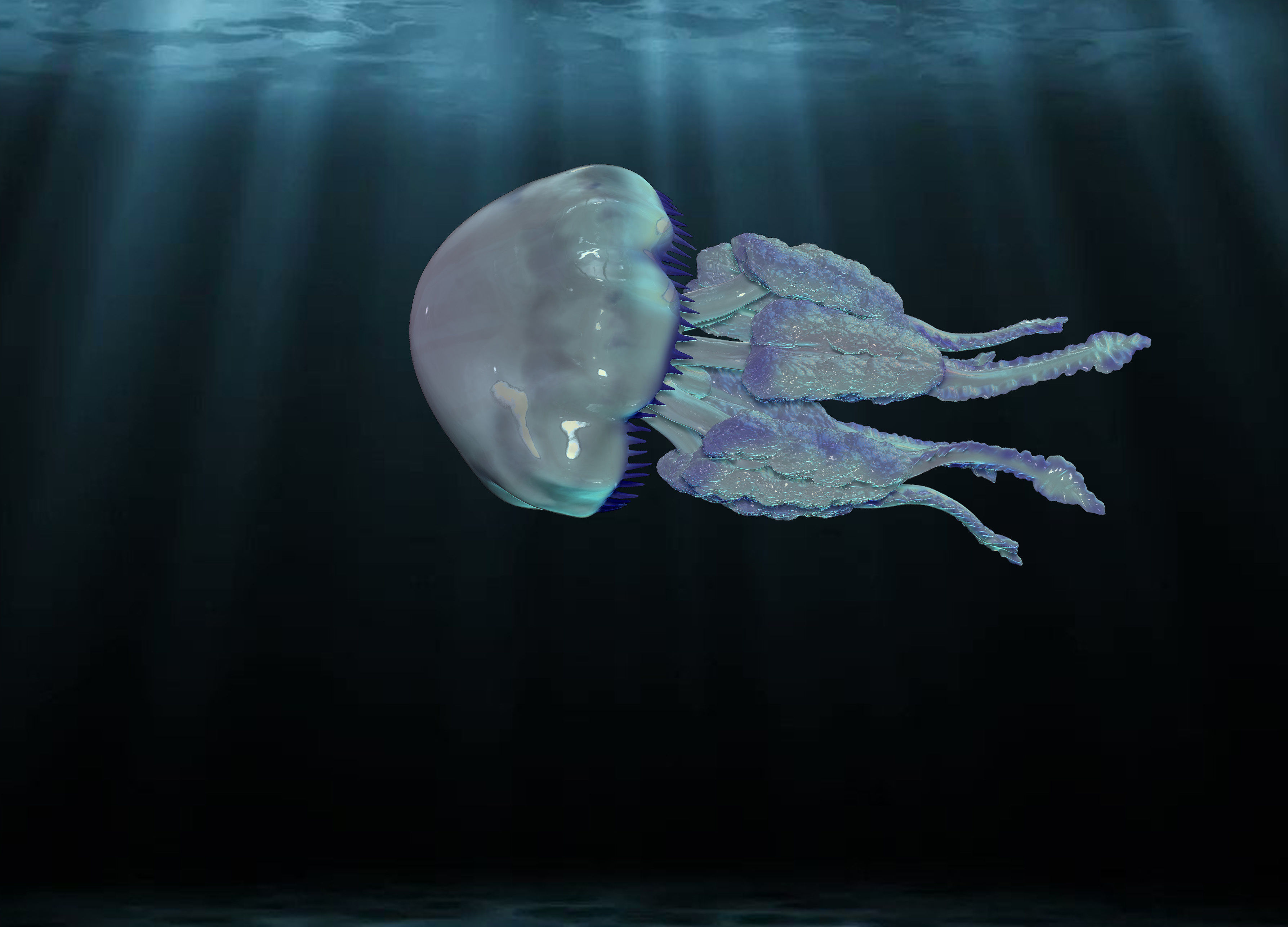 Jellyfish Rhizostoma 3D print model_2