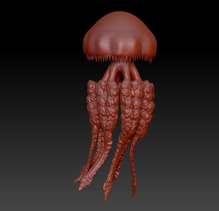 Jellyfish Rhizostoma 3D print model_6