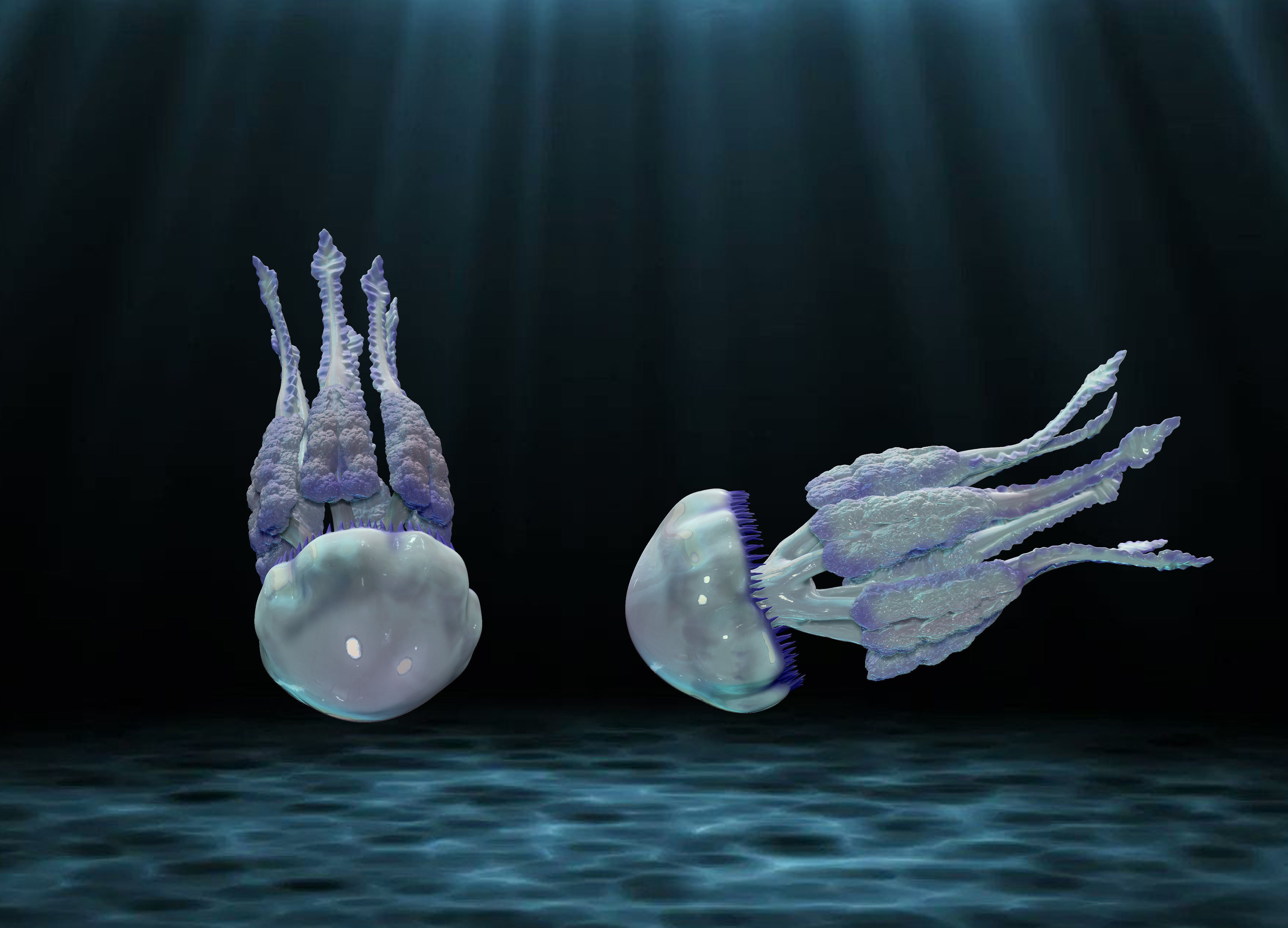 Jellyfish Rhizostoma 3D print model_3