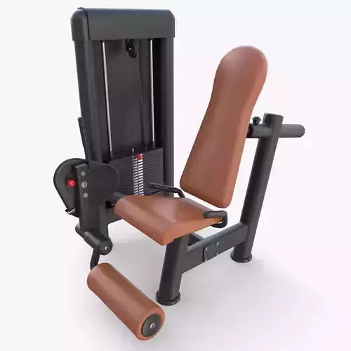 Leg extension machine 3D model