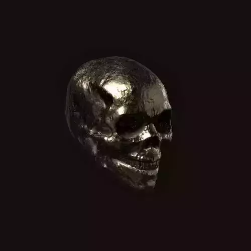 Skull model