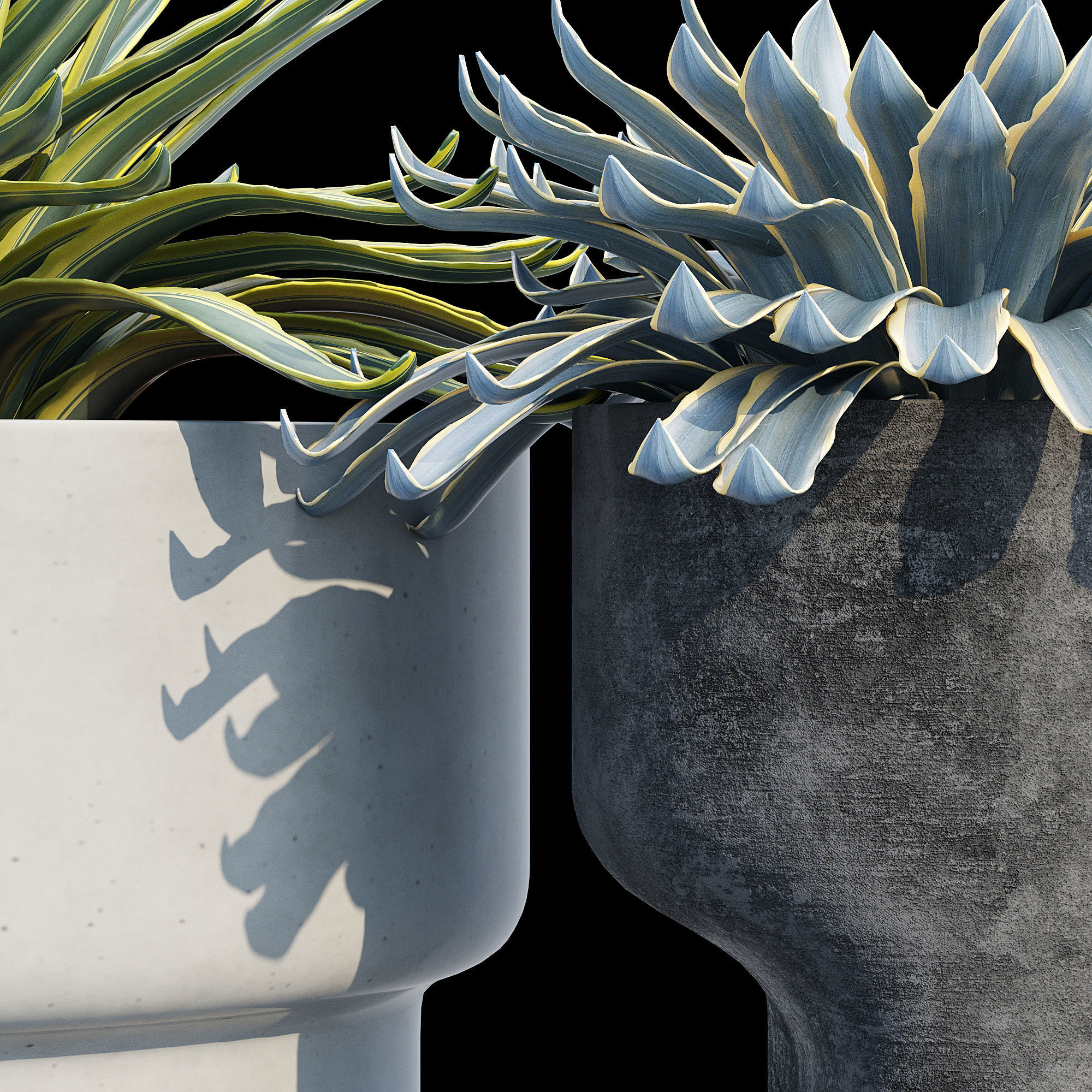 planter set 2 three concrete pots with succulents 3D model_13