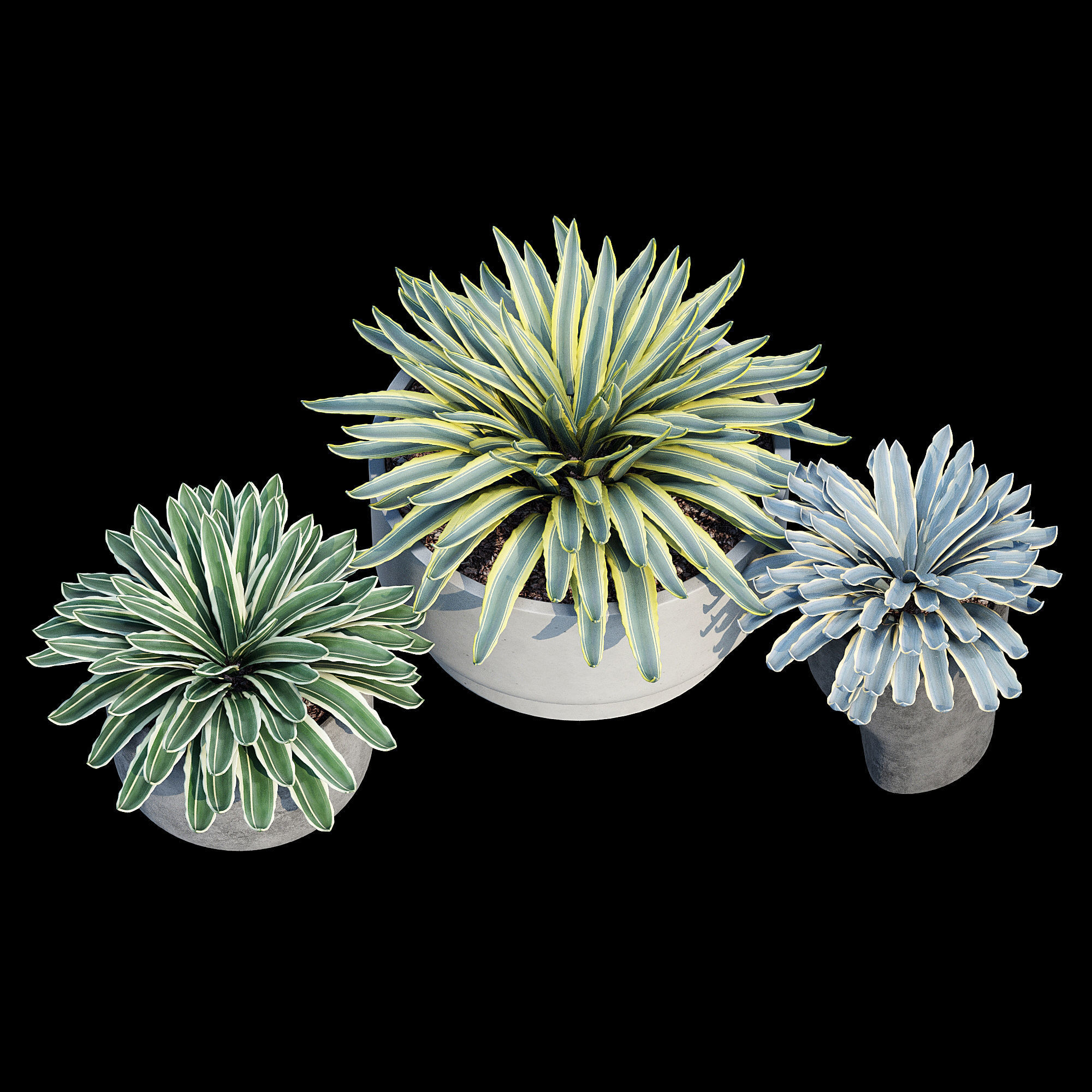 planter set 2 three concrete pots with succulents 3D model_9
