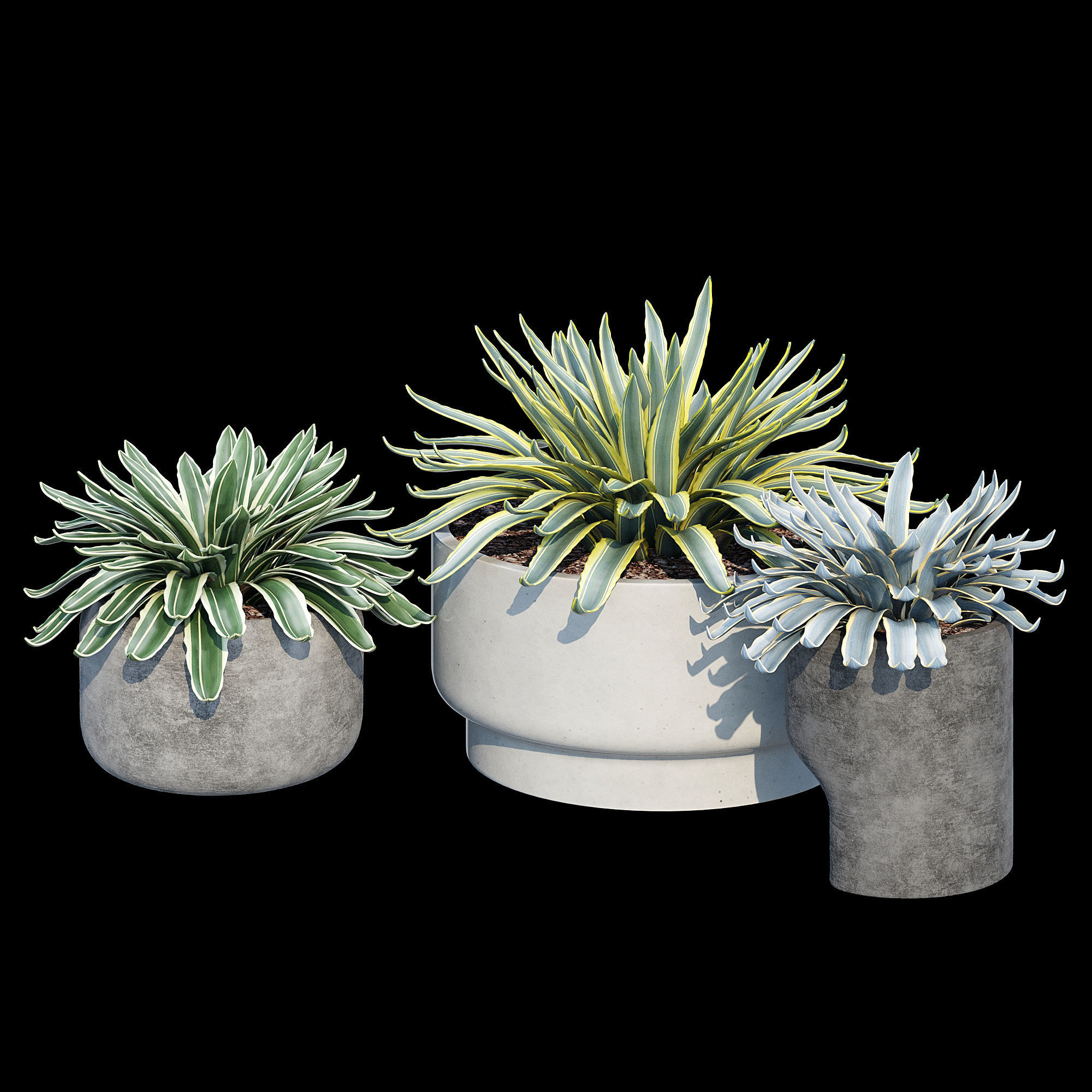 planter set 2 three concrete pots with succulents 3D model_11