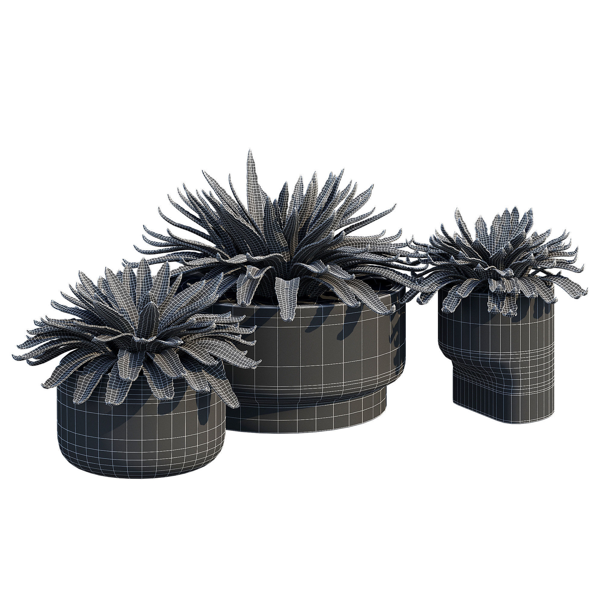 planter set 2 three concrete pots with succulents 3D model_7