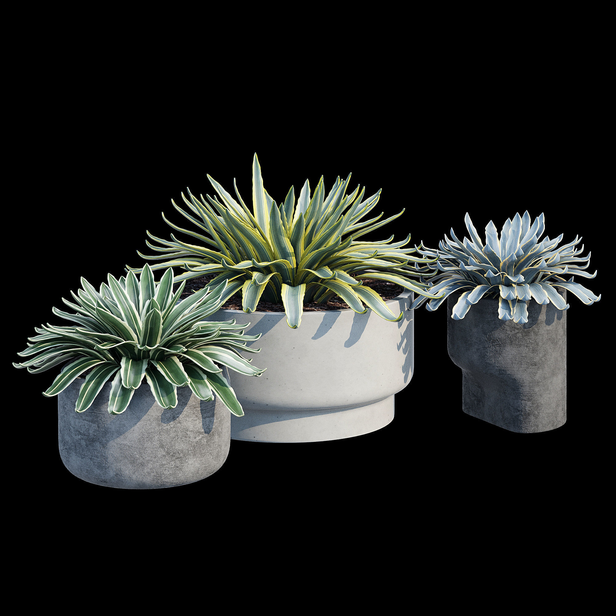 planter set 2 three concrete pots with succulents 3D model_10