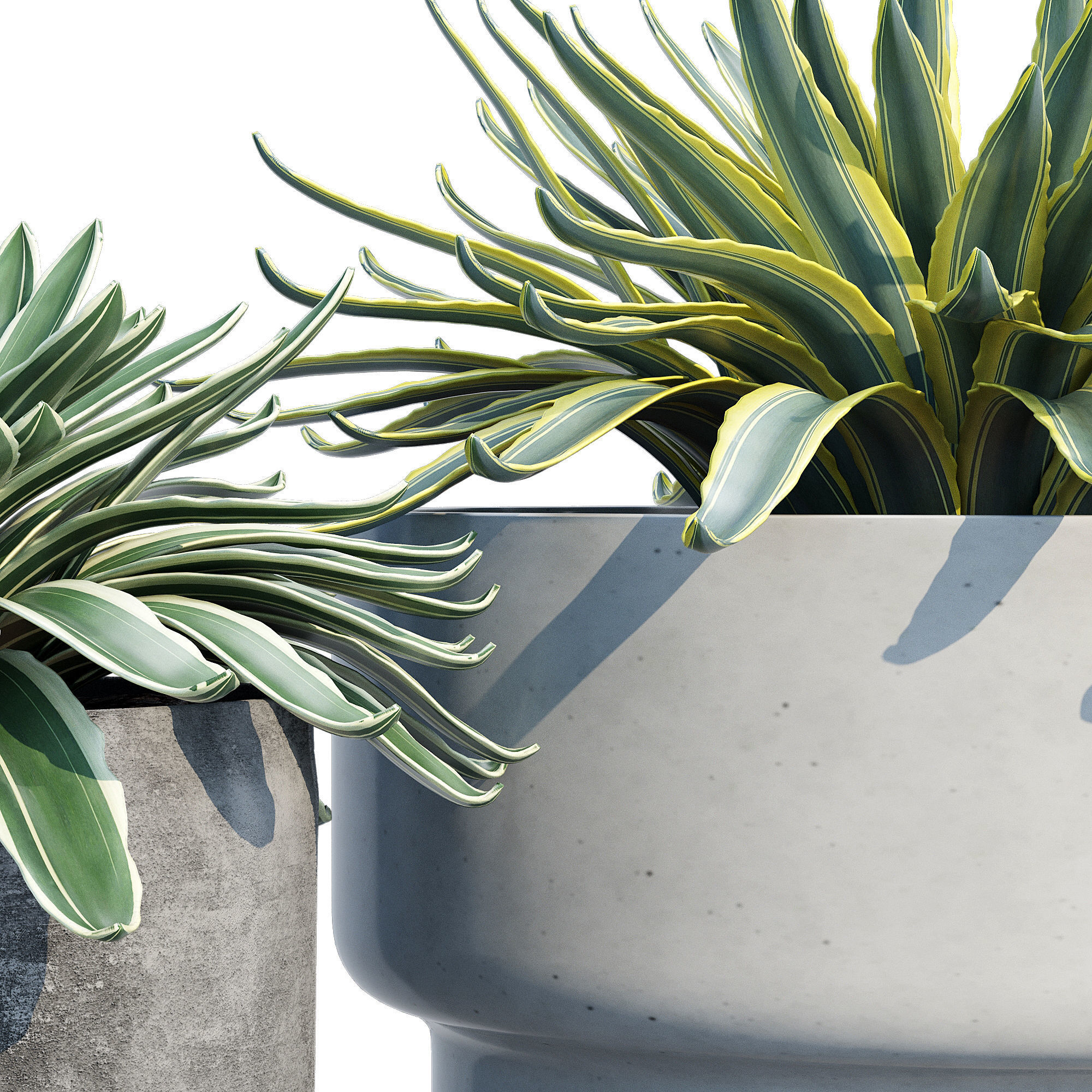 planter set 2 three concrete pots with succulents 3D model_5