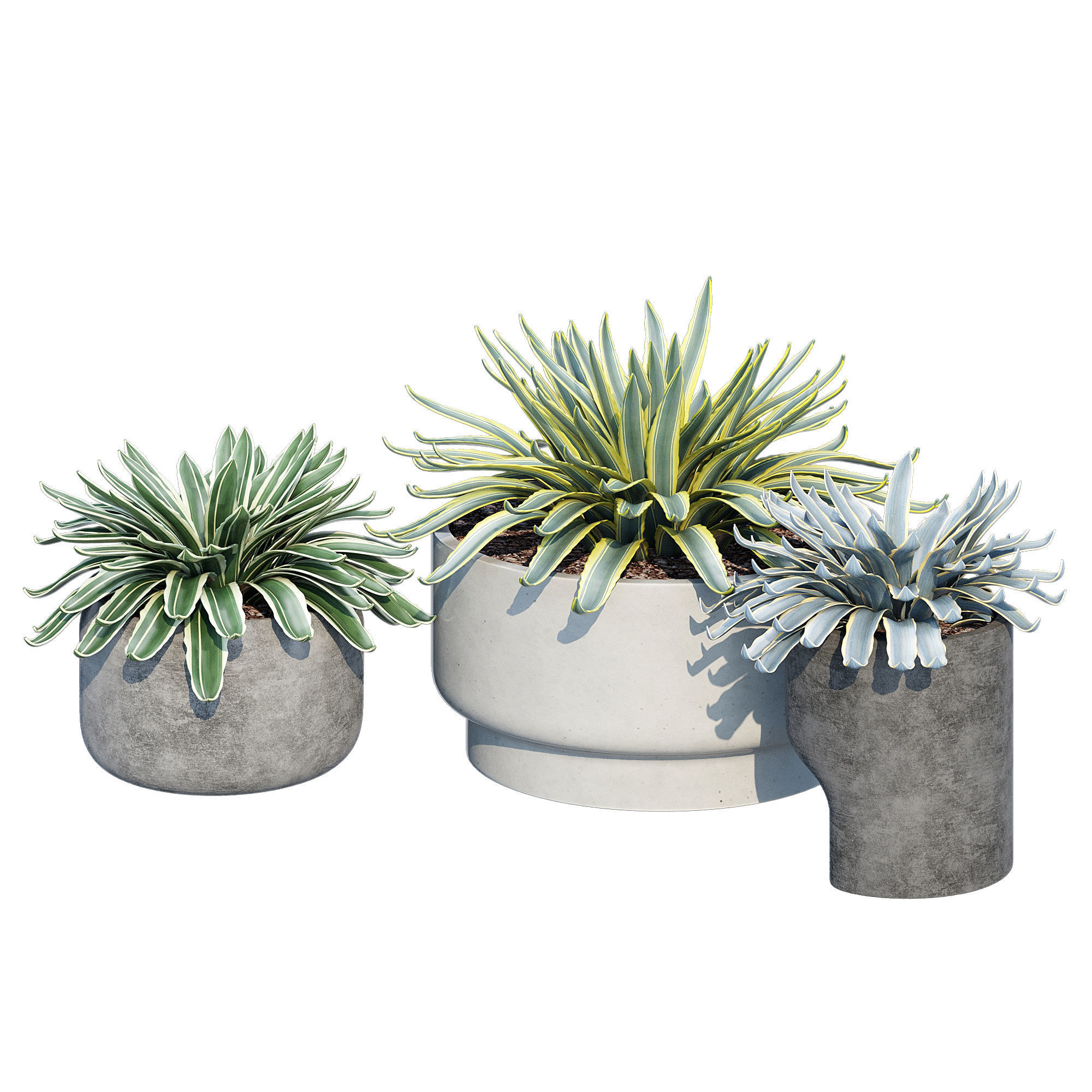 planter set 2 three concrete pots with succulents 3D model_4