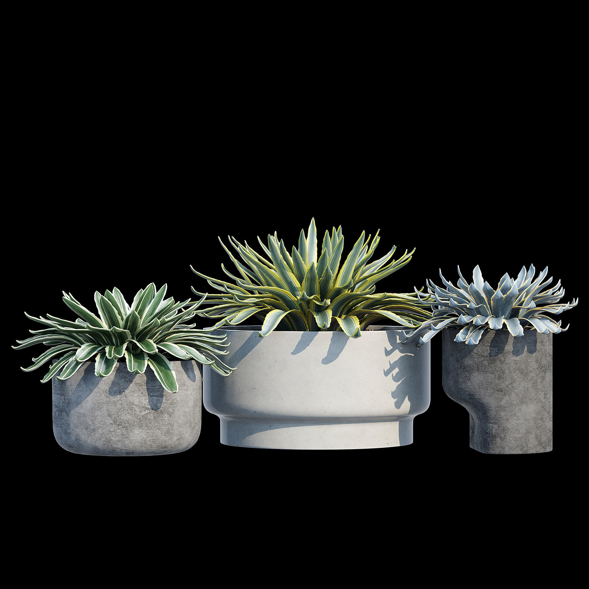 planter set 2 three concrete pots with succulents 3D model_8