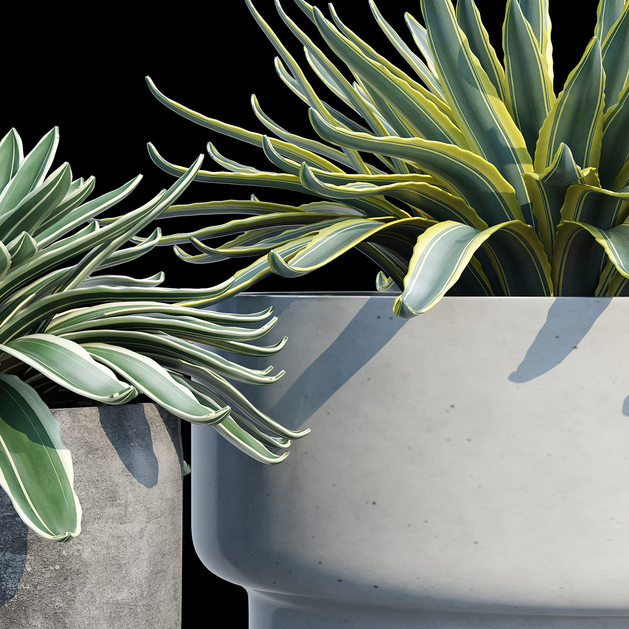 planter set 2 three concrete pots with succulents 3D model_12